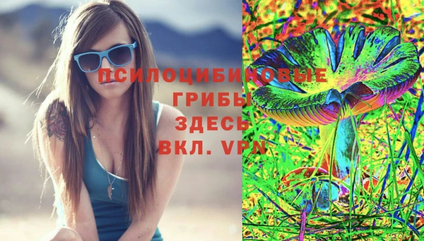 мет Бородино