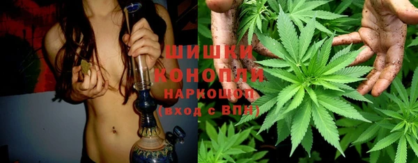 первитин Богородицк